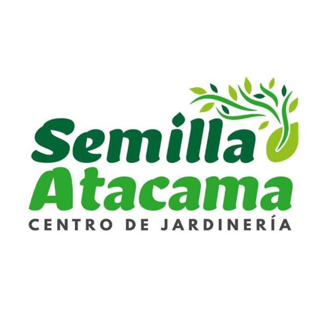 Semilla Atacama